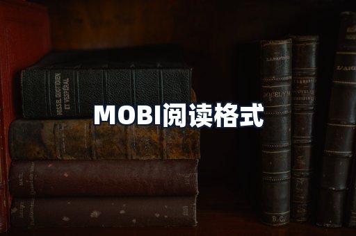 MOBI阅读格式
